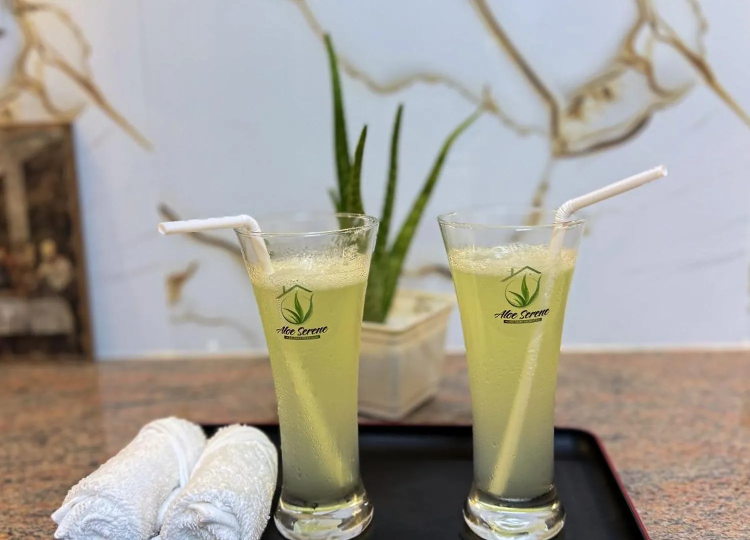 Pensionat Aloe Serene Negombo