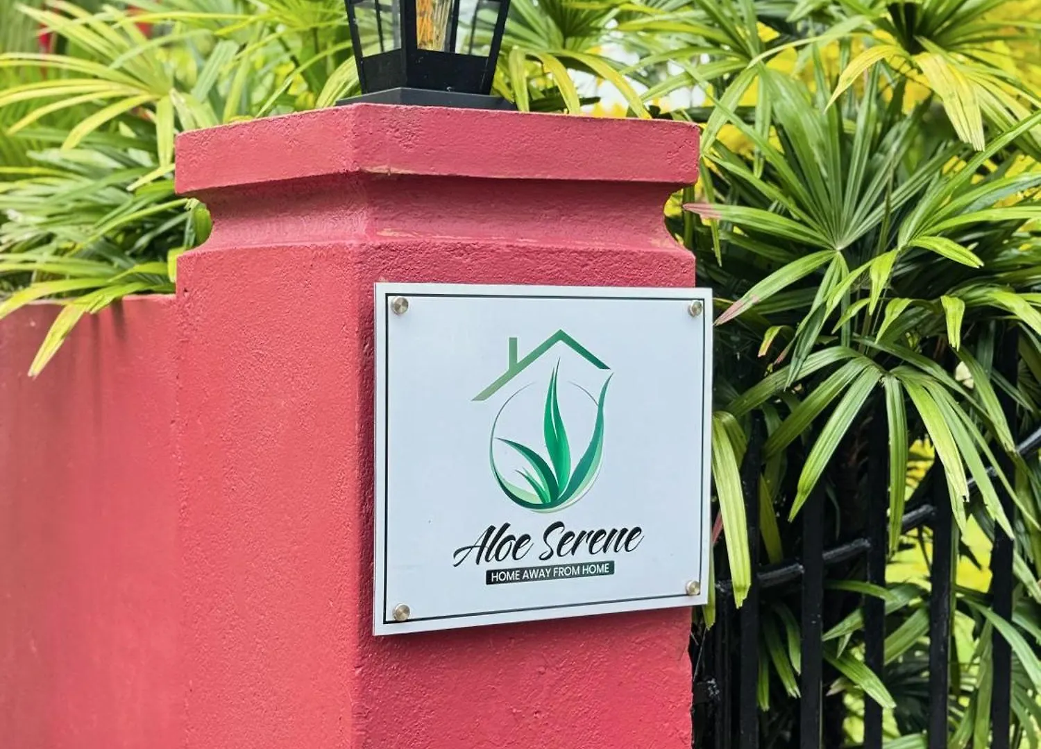 Aloe Serene Negombo Sri Lanka