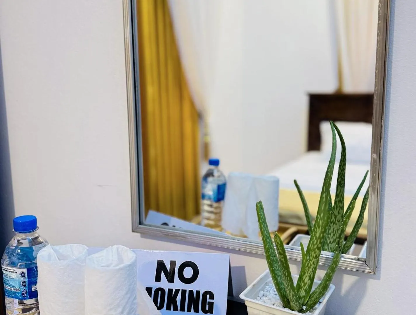 Aloe Serene 尼甘布 招待所