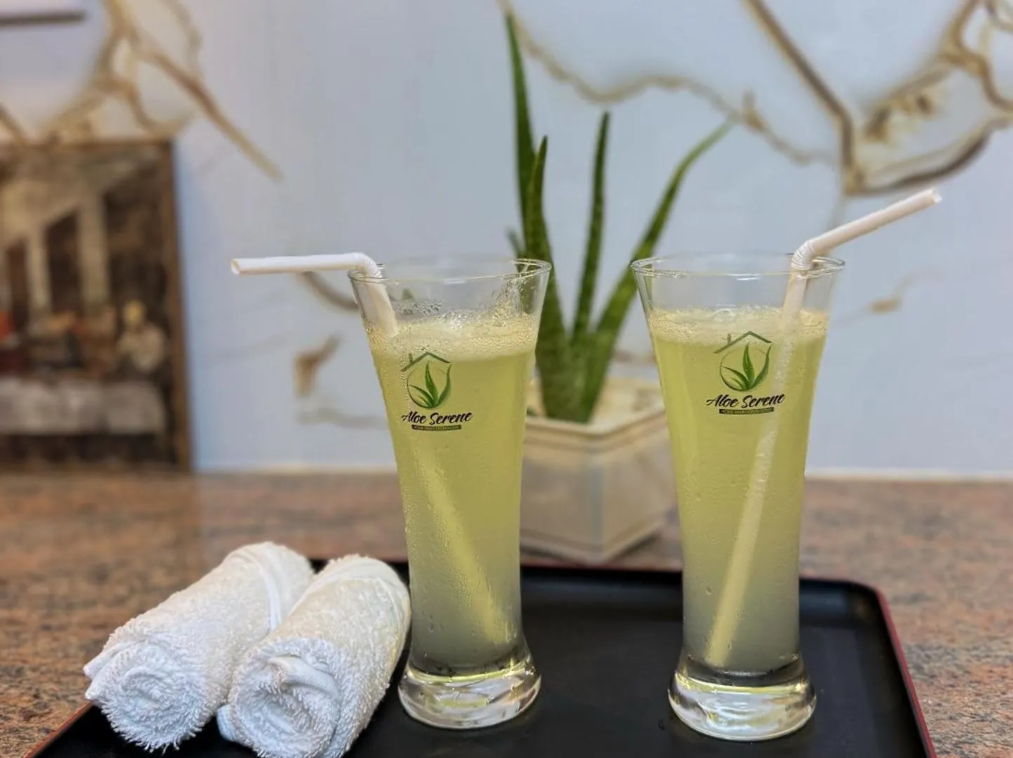 招待所 Aloe Serene 尼甘布 斯里兰卡