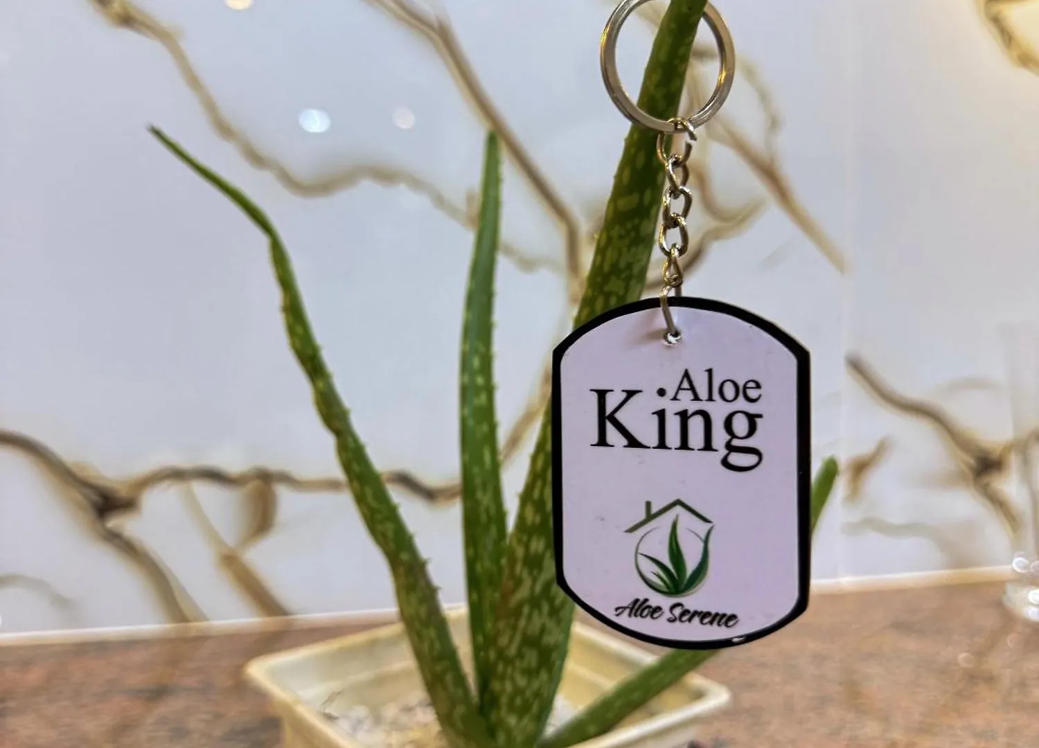 招待所 Aloe Serene 尼甘布 斯里兰卡