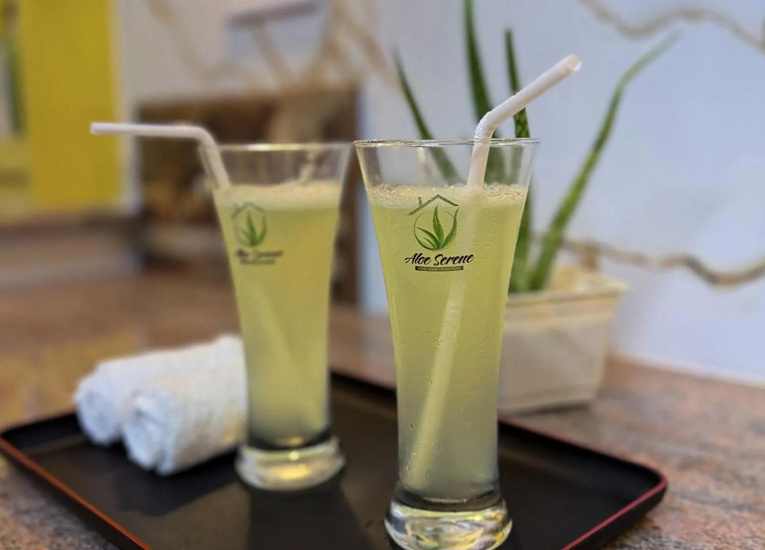 招待所 Aloe Serene 尼甘布